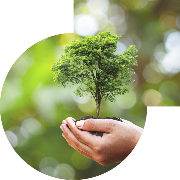 关怀人类、文化、环境与社会